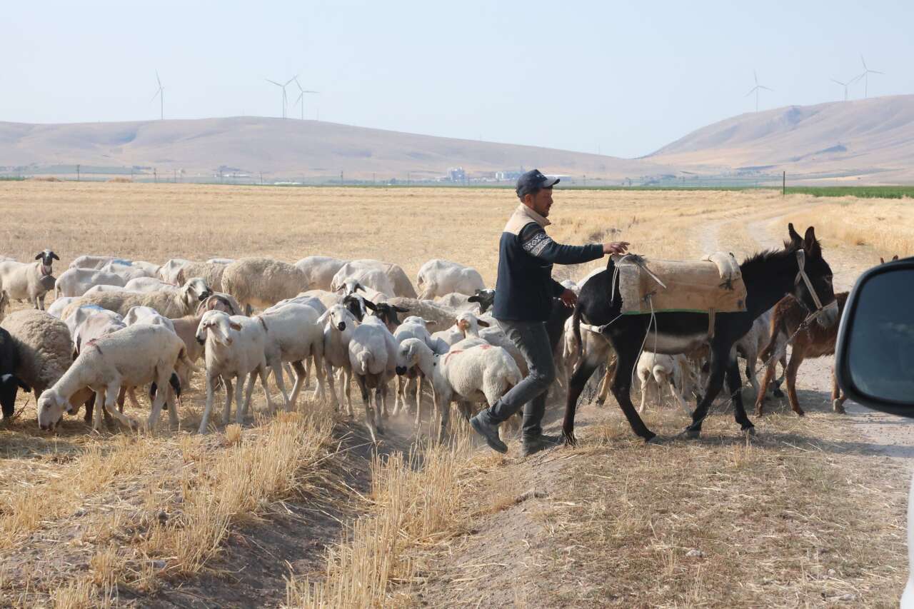 70 bin lira maaş da çözüm olmadı! Konya'da sıkıntı büyüyor 6